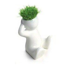 미니 잔디 인형 (8개입)