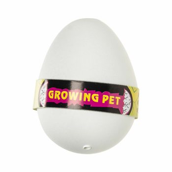 공룡 알 키우기 디스플레이 세트 (12개입) - DINOSAUR GROWING EGG