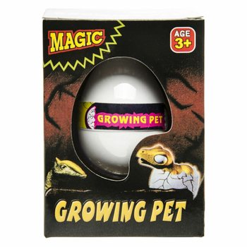 공룡 알 키우기 디스플레이 세트 (12개입) - DINOSAUR GROWING EGG